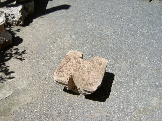 patiotraserofucares14